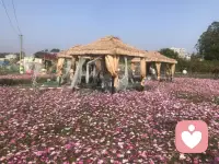 性教育的本质是人格与爱的启蒙

也许大部分家长都知道，青春期是孩子探索自我与世界的关键阶段，伴随生理发育，自慰接触色情信息了解安全套等话题往往成为亲子沟通的敏感区。这时候，家长的应对方式不仅关乎孩子的性健康认知，更影响着他们的人格成长与亲子关系质量。

现在，让我们对性教育多一些正确的了解。

一、性议题的背后，藏着孩子的成长密码  

面对青春期的性相关行为（如自慰、接触网络色情），许多家长容易陷入纠正错误的焦虑，急于说教或禁止。但作者提醒我们：性从来不是孤立的话题，孩子反复查看色情内容，可能是现实中情感联结匮乏的补偿；对自慰的过度羞耻，或许源于家庭中身体隐私与情感接纳的双重缺失；甚至对安全套的好奇，也可能暗含对责任与自我保护的朦胧探索。若仅盯着性本身批判，反而会遮蔽背后的核心需求：孩子是否在家庭中获得了足够的安全感？父母的角色是否完整（如父亲缺位可能导致男孩对性别认同的迷茫）？性教育的前提，是先读懂孩子行为背后的心理诉求。  

 二、早恋不是问题，是成长的信号  

常被家长视为洪水猛兽的早恋，作者重新定义为正常的发展现象。青春期对亲密关系的向往，本质是孩子在练习爱的能力——学习关注他人感受、处理矛盾、建立信任。此时家长的角色不应是拦截者，而应是陪伴者：放下早恋影响学习的刻板标签，用发展的眼光看待孩子的情感需求；尊重其个性与选择（比如，不强行拆散、不贬低对方），同时温和传递如何平衡情感与责任的思考。真正的引导，是让孩子在被接纳中学会对自己的选择负责。  

 三、缓解家长焦虑，是有效沟通的起点  

许多家长对性教育的回避，根源往往是自身的焦虑：担心孩子学坏、害怕自己不懂如何教、恐惧直面性的自然性。作者在书中点破关键：性教育的第一步，是家长先完成对性知识的系统学习与情绪梳理。当我们通过科学资料了解自慰是正常的生理释放色情信息与真实性教育的区别安全套的正确使用是保护而非鼓励等事实，那些因未知产生的恐慌会逐渐消解。情绪稳定后，我们才能以平和的姿态与孩子对话，不是居高临下的教育，而是平等的探讨：你觉得接触这类信息时，哪些部分让你困惑？如果未来遇到需要保护自己或他人的情况，我们可以一起想想办法。  

《重要的性，影响孩子一生》学习笔记配图