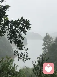 三个关键信号识别情感勒索

接上篇

1. “必须服从”的压力感：当对方的某个要求让你产生“如果不答应，就会失去TA的爱”的强烈焦虑，甚至心跳加速、失眠，这可能是勒索的信号。  

2. “非黑即白”的逻辑陷阱：对方会用极端表述否定你的感受——“你要么听我的，要么就是坏人”“你这么想，说明你根本不在乎我”。  

3. “自我怀疑”的持续消耗：妥协后，我们常陷入“是不是我太敏感？”“我是不是该更懂事？”的内耗，我们并没有感到轻松或被理解。  

打破循环：从“被勒索”到“自救”
 
发现情感勒索的存在，不代表关系“失败”，但需要有清醒的认知：健康的亲密关系，从来不需要以单方面的自我牺牲来维系。想要破局，我们可以尝试：  

设立“情绪边界”：明确告诉对方“我可以理解你的需求，但我有自己的底线”（如“周末我想留两小时独处，这不是拒绝你”）。

拒绝“愧疚绑架”：意识到“我的妥协是出于爱，而非义务”，愧疚感是对方的操控工具，不是你的错。

寻求外部支持：向信任的朋友或心理咨询师倾诉，跳出“当局者迷”的困局，重新客观看待关系。  

亲密关系的终极意义，是两个独立灵魂的相互滋养，而非一方对另一方的完全控制。当我们不再为“被勒索”找借口，不再用妥协换取虚假的安全感，才能真正走出“如来佛的手掌心”，在平等的关系中，找回属于自己的自由与尊严。

～～～心理学笔记～～～配图