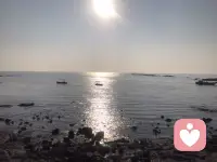 当家庭陷入冲突和矛盾：可能是它进入了新阶段

家庭的生命旅程：理解矛盾与和解的六个阶段

家庭，是我们每个人最初也是最重要的系统。它不仅承载着情感与记忆，也随着时间推移，经历着成长、挑战与变迁。如何理解家庭中的矛盾？又如何走向和解？或许，我们可以从一个经典的理论中找到线索——家庭生命周期。

什么是家庭生命周期？

这一概念由美国人类学家格里克提出，后被家庭治疗领域广泛采用。它认为家庭如同一个有机体，会按照特定规律发展演变。家庭成员个体的变化，与家庭整体的发展阶段密不可分。

家庭的六个阶段

家庭的生命周期大致可分为六个阶段，每个阶段都伴随着独特的任务与挑战：

1. 脱离原生家庭，走向结合

   家庭的起点，是两个心理与生理均成熟的个体，从各自的原生家庭中独立出来。他们开始构建属于自己的情感联结，为建立新家庭做准备。

2. 婚姻契约，建立二元系统

   通过婚姻，两人正式组成家庭。这一阶段需要大量调整：牺牲部分个人自由、重新规划职业与社交，还要在家务、财务、决策权等方面进行磨合。这是从“我”到“我们”的关键转变。

3. 孩子降临，进入三元结构

   孩子的出生打破二人世界的平衡，家庭系统扩展为三元。夫妻成为“育儿队友”，面临经济压力、时间分配、教育观念等新挑战。家庭责任重新划分，模糊地带常常引发矛盾。

4. 中年与青春期，系统再调整

   夫妻步入中年，孩子进入青春期，家庭动力变得复杂而充满张力。若有多名子女，还需协调兄弟姐妹关系。这一阶段的冲突往往更为激烈，考验着家庭的弹性与沟通能力。

5. 孩子离家，面对空巢期

   子女因升学或工作离家，家庭回归二元结构。但此时的二人世界已不同于初建时期，以往被忽略的关系问题可能集中浮现。同时，家庭可能还需应对老人健康问题，步入“中年危机”与“空巢危机”的双重考验。


未完待续……

～～～心理学笔记～～～配图