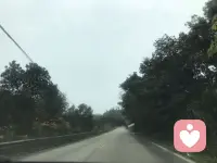 如何更平稳地度过家庭转型？

——接上篇——

6. 老年阶段，重建家庭联结

   子女成家后，家庭进入老年期。夫妻共同面对衰老与疾病，也需要与子女建立新的相处模式——无论是共同生活、协助抚育孙辈，还是保持适度距离，都需要智慧与适应。

用系统的眼光看待家庭变化

家庭生命周期的视角，能帮助我们更平和地面对家庭中的波动与挑战。我们容易将问题归咎于某个家人：“缺席的父亲”“焦虑的母亲”“叛逆的孩子”……然而，若理解家庭本身也有它的“成长节奏”，就会明白：矛盾与稳定都是周期中的常态。每一次危机，也可能成为家庭调整角色、重新平衡的契机。

如何更平稳地度过家庭转型？

答案在于学习。每个新阶段都要求家庭成员掌握新的能力：

· 新手父母需要学习育儿知识；
· 孩子进入青春期，父母要学习放手；
· 空巢期夫妻需重新学习相处；
· 老年阶段要学习与衰老共处、与下一代建立新关系……

家庭的变化，常成为推动个人成长的温和外力。我们或许不愿改变，但为了适应家庭新阶段，也不得不调整自己的角色与行为。从系统角度看，每个人的改变，不仅是个人选择，也是家庭生命节奏的一部分。


总的来说，每一个家庭都像一条流动的河，有平缓也有湍急。了解家庭生命周期的意义，不在于预测每一步，而在于让我们懂得：所有的矛盾都可能孕育着和解，所有的转变都蕴含着成长的可能。当我们以系统的眼光审视家庭，便更能理解彼此，更有耐心与智慧，相伴走过这一段段生命的旅程。

～～～心理学笔记～～～配图