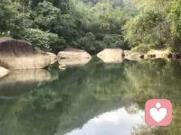 如何更平稳地度过家庭转型？

——接上篇——

6. 老年阶段，重建家庭联结

   子女成家后，家庭进入老年期。夫妻共同面对衰老与疾病，也需要与子女建立新的相处模式——无论是共同生活、协助抚育孙辈，还是保持适度距离，都需要智慧与适应。

用系统的眼光看待家庭变化

家庭生命周期的视角，能帮助我们更平和地面对家庭中的波动与挑战。我们容易将问题归咎于某个家人：“缺席的父亲”“焦虑的母亲”“叛逆的孩子”……然而，若理解家庭本身也有它的“成长节奏”，就会明白：矛盾与稳定都是周期中的常态。每一次危机，也可能成为家庭调整角色、重新平衡的契机。

如何更平稳地度过家庭转型？

答案在于学习。每个新阶段都要求家庭成员掌握新的能力：

· 新手父母需要学习育儿知识；
· 孩子进入青春期，父母要学习放手；
· 空巢期夫妻需重新学习相处；
· 老年阶段要学习与衰老共处、与下一代建立新关系……

家庭的变化，常成为推动个人成长的温和外力。我们或许不愿改变，但为了适应家庭新阶段，也不得不调整自己的角色与行为。从系统角度看，每个人的改变，不仅是个人选择，也是家庭生命节奏的一部分。


总的来说，每一个家庭都像一条流动的河，有平缓也有湍急。了解家庭生命周期的意义，不在于预测每一步，而在于让我们懂得：所有的矛盾都可能孕育着和解，所有的转变都蕴含着成长的可能。当我们以系统的眼光审视家庭，便更能理解彼此，更有耐心与智慧，相伴走过这一段段生命的旅程。

～～～心理学笔记～～～配图