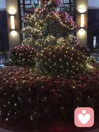 如何搭建从“想”到“做”的有效通路

——接上篇——

三、选择与动机相匹配的环境

动机并非固定不变，它深受环境的影响。肯里克的需求理论指出，我们内心存在多个“次级自我”，不同环境会激活不同的自我，从而影响我们的动机与行为。

比如，在图书馆里，你更容易进入“学习者”模式；而在餐厅里，“满足食欲”的自我则更占上风。就像同一个人，在家庭环境中可能展现“照顾者”的动机，而在工作场合则更关注成就与竞争。

因此，如果你感到缺乏付出行动的动力，或许是因为当前环境未能激发对应需求的那个“自我”。如果你想持续追求事业成长，有机会加入到积极进取的团队或圈子中，那会更自然地激发你的奋斗动机。

总的来说，提升行动力并不是简单地“逼自己努力”，而是系统地设定合理可控的目标、觉察并调动内在动机，以及主动选择或营造能够支持你行动的环境。 当这三者相互呼应，就可能共同搭建起从“想”到“做”的有效通路。

～～～心理学笔记～～～配图