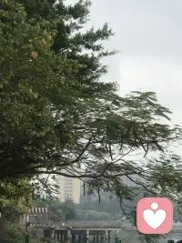 人一定要改变自己才能适应环境吗？其实你还有另一个选择

很多人看不到“离开”这个选项，因为从小到大，我们被教导：遇到困难就去适应，去改变自己。  

可生活不是单行道。  

在职场，如果环境让你失去健康与快乐，你可以选择换一个地方。  
在关系里，如果对方让你一直自我否定，你可以选择结束。  

离开，不是认输，而是给自己一个新的起点。

改变是一场实验

改变不一定要成为铁律，它可以像一场实验——带着好奇心去尝试，不预设结果。  

就像健身时，教练鼓励你再试一组动作，但你的身体已经发出警告信号。此时，停下来不是失败，而是实验的一个结论：“原来我的极限在这里。”

同样，面对生活的变化，你可以试着调整，也可以随时停下。重要的是，选择权在你手里。

变与不变，都是探索

如果你选择改变，那是你主动迈出的探索。  
如果你选择不变，也可以保持对未来的可能性怀有好奇。  

人生不是非黑即白，变与不变，都是走向完整的一部分。

所以，当你处在不舒服的环境里，不妨问问自己：  
我一定要改变自己吗？  
还是，我可以选择离开？  

改变不是绝对化的教条，当我们把改变当作实验，带上好奇心，接纳现在的自己，也允许未来有新的可能。  
因为，你永远有另一个选择。变与不变都值得尊重。  

✅ 最后一句话总结： 
人生不是必须不断改变去适应周围的环境，有时选择离开原来的环境可能是一个好的选择；把改变当成一种体验或一个实验，变与不变都是探索的方式之一，带着好奇和接纳，走一条属于自己更完整的路。

～～～心理学笔记～～～