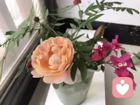 在平凡里，也能走向更好的自己  

——稳定不是停滞，成长也不总是轰动。  
学会与当下的自己和解，也是成长的方式之一。  

在这个人人喊着“突破自我”的时代，我们很容易被推着奔跑。我们总以为成长必须是一次次突破、一场场冲刺，但其实，它更多时候是在安静的日常里悄悄发生。比如，做好一份工作、照顾好家人、把生活打理得井井有条——这些看似不变的日常，都是向成熟迈出的脚步。  我们需要重新学会在平凡中看见前进的力量。  

01 成长，不是直线的上升

“成长”虽然自带积极光环，但它并不意味着人生必须一路向上。如果回头看，我们的总体趋势都是在成长；即便某些阶段看似停在原地，只要能自食其力、承担生活的责任，这本身就是一种成长。  

人生的厚度，不只来自冲刺，也来自踏实生活的每一步。  

02 成长，只是生命中的少数时刻

我们不必每天都用新的挑战来证明自己在成长。生命的底色往往是规律、稳定和熟悉——做好本职工作、照顾家庭、让生活有序运转，这些看似“没有改变”的日常，同样是在创造价值。  

稳定是生活的根基。成长不是连续的，它往往只在少数关键时刻发生，而这些时刻需要建立在安稳的生活之上。  

03 成长，常伴随痛苦

如果把成长想象成纯粹的幸福感，很可能会失望。真正的成长往往出现在关键期——那既是危险，也是机会。  

 时常提醒自己：“这可能是成长的一种方式。”“不要固着于此刻，一切皆有可能。”  

我们无法准确预测未来，眼前的困难和对自我的否定，只是暂时的状态。看见别人的智慧，不等于立刻能做到，我们有自己合适的时机。  

成长的意义，不是幻想未来，而是接纳当下，把现阶段的人生过好。  

04 成长，是发展的过程，而非否定过去

成长源于两个动力：实现自我 & 应对外界变化。我们需要躬身入局（投入其中），与外界互动，从中推动自己前行。  

不必把“成长”看得过于高大上，甚至可以暂时忘记这个词，回到自己的生活，专注于当下自己认为重要的事情——这也是成长的真实落脚点。  

总之，成长不是一场永不停歇的竞赛，而是一段在稳定与突破之间寻找平衡的长路。我们可以在平凡里，找到属于自己的节奏。先学着给自己多一些拥抱吧！现在的你，已经走在成长的路上。当你不再执着于“每天都要变”，而是学会在平凡中看见前进的力量，这反而能让我们更清晰地看见自己的步伐。

~~心理学笔记～～配图