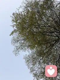 你做的选择其实是“阈下加工”在帮忙（二）

——接上篇——

2. 启动效应：启动效应就像给我们的大脑悄悄“调了个频道”。在你意识到之前，一个先出现的信号（比如一个词、一张图、一个声音、一种味道）已经激活了你大脑里相关的联想网络，让你接下来的想法和行为，不自觉地往那个方向偏。

我们看下面的例子：

首先，如果先让你看一些与“夏天”相关的词，比如“西瓜”、“沙滩”、“冰淇淋”，然后再让你从“春、夏、秋、冬”里选一个词来填空，你脱口而出“夏天”的概率会大大增加。

其次，假如我们看完一部恐怖片预告，回家时楼道里一点平常的声音都会让你心里一紧（你的“警觉、害怕”频道被启动了）。

还有，你在街角闻到了咖啡店的香味，就有可能突然想起了某个常一起去咖啡馆的朋友（“咖啡”启动了与之相关的记忆和情感）。

也就是说，你以为自己是独立、理性地做出判断，但其实，上一个看似无关的“启动”刺激，已经为你的思维铺好了路，让你更容易想到与之相关的内容。

简单理解启动效应，就是“前面的事物，暗中安排了后面你想到的事物”。

这些例子都揭示了一点：我们的大脑能够在意识觉察不到的情况下，接收、处理信息，并潜移默化地参与我们的判断和行动。

理解了阈下加工，或许能帮我们更宽容地看待生活中的某些“莫名”反应：比如为什么初次见面就容易产生“第一印象”？它未必有理有据，可能只是你无意识地捕捉到了对方的一个表情、一个动作，或是环境里的某个细微信号。

这也为直觉和灵感提供了一种解释：当你在某个领域积累了丰富经验，大脑可能已在后台形成某种“加工捷径”。这让我们不必经过有意识的推理，就能快速产生判断。就像高手下棋，有时并非一步步计算，而是凭“棋感”落子。

总的来说，大脑远比我们想象的更加复杂而聪明。它的许多工作，是在意识的聚光灯之外默默完成的。虽然我们无法直接指挥无意识，但了解它的存在与规律，或许能让我们在生活中多一分觉察，少一分困惑——在感性与理性之间，对自己和他人更多一些理解和了解。

～～～心理学笔记～～～配图