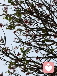 你做的选择其实是“阈下加工”在帮忙（二）

——接上篇——

2. 启动效应：启动效应就像给我们的大脑悄悄“调了个频道”。在你意识到之前，一个先出现的信号（比如一个词、一张图、一个声音、一种味道）已经激活了你大脑里相关的联想网络，让你接下来的想法和行为，不自觉地往那个方向偏。

我们看下面的例子：

首先，如果先让你看一些与“夏天”相关的词，比如“西瓜”、“沙滩”、“冰淇淋”，然后再让你从“春、夏、秋、冬”里选一个词来填空，你脱口而出“夏天”的概率会大大增加。

其次，假如我们看完一部恐怖片预告，回家时楼道里一点平常的声音都会让你心里一紧（你的“警觉、害怕”频道被启动了）。

还有，你在街角闻到了咖啡店的香味，就有可能突然想起了某个常一起去咖啡馆的朋友（“咖啡”启动了与之相关的记忆和情感）。

也就是说，你以为自己是独立、理性地做出判断，但其实，上一个看似无关的“启动”刺激，已经为你的思维铺好了路，让你更容易想到与之相关的内容。

简单理解启动效应，就是“前面的事物，暗中安排了后面你想到的事物”。

这些例子都揭示了一点：我们的大脑能够在意识觉察不到的情况下，接收、处理信息，并潜移默化地参与我们的判断和行动。

理解了阈下加工，或许能帮我们更宽容地看待生活中的某些“莫名”反应：比如为什么初次见面就容易产生“第一印象”？它未必有理有据，可能只是你无意识地捕捉到了对方的一个表情、一个动作，或是环境里的某个细微信号。

这也为直觉和灵感提供了一种解释：当你在某个领域积累了丰富经验，大脑可能已在后台形成某种“加工捷径”。这让我们不必经过有意识的推理，就能快速产生判断。就像高手下棋，有时并非一步步计算，而是凭“棋感”落子。

总的来说，大脑远比我们想象的更加复杂而聪明。它的许多工作，是在意识的聚光灯之外默默完成的。虽然我们无法直接指挥无意识，但了解它的存在与规律，或许能让我们在生活中多一分觉察，少一分困惑——在感性与理性之间，对自己和他人更多一些理解和了解。

～～～心理学笔记～～～配图