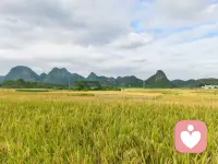 爱自己的实践方法（二）


——接上篇——

第五层：自我边界保护。保护好自己的时间、精力和情绪，不被无关人、事、物过度消耗。

明确底线，写下 3 条“绝对不能接受”的事。 

学会说“不”，正当的拒绝，不要碍于面子过多解释。 

为重要的事预留多一些时间，不随意被别人影响。 

在让自己不舒服的场景中，学习“及时抽离”给自己按下一个“暂停键”，先离开再处理。

第六层：与自己和解释怀。接纳过去的所有经历、错误与遗憾，从中汲取养分而非自我攻击。

书写疗愈，给过去的自己写一封信，说说当时自己是怎么熬过那段痛苦的时光，现在想对TA说什么。 

转换视角重看，问自己“这件事让我学会了什么？”，我的收获是什么。 

允许自己不完美，当大脑浮现不愉快情境时，提醒自己“已经过去了，我选择向前看”。

第七层：创造绽放。目标是在接纳自己的基础上，主动设计、创造自己想要的生活。

列出“理想生活清单”：写出你希望一年、三年后生活的大致样子，不追求完美，只希望真实。 

学会小步子或低成本试错，从一件小事开始，尝试一个新爱好，学一门有兴趣的小课，看自己是否喜欢。 

为喜欢的事持续安排固定时间，比如每周两小时，不轻易放弃。 

记录高光时刻：及时写下自己做得好的瞬间，不断强化信念“我有能力创造自己想要的美好生活”。

这份“爱自己的七个层次”，从照顾身体到活出自己喜欢的样子，既是自我关怀的路径图，也是一次次和自己重新相遇的机会。它不是要求我们一下子做到完美，而是让我们在每一天的小选择里，多一点对自己的理解和疼爱。

我们不妨从今天开始，先做一件最简单的事。当你愿意一步一步往上走，你会发现：原来爱自己，是可以练习的能力；而你，也值得拥有一个越来越舒展、越来越自在的人生。

～～～学习笔记～～～配图