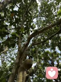 “时间不是解药，但解药在时间里”

——成长最真实的模样是与昨日温柔告别 

随着时间的沉淀，许多曾经汹涌的感受会渐渐归于平缓，这或许就是成长最真实的模样。阅读和经历慢慢拓宽了我们的视野，也让一些曾以为无法逾越的情感，在回望时显露出它原本的轮廓。

曾经那样执着于一个人、一件事，念念不忘，仿佛全世界的雨都落在自己的眼眶里。生活被一种情绪占满，心像被困在潮汐之中，反复被同一片海浪淹没。那种感受如此真实，如此彻骨——也许正是那时的投入，才有了有后来的清醒。

而时间确实有着巨大的魔力。几年过去，经历生活现实与工作社交的淘洗，甚至一些无法预料的变迁，某天醒来忽然发现，那份执念不知何时已经松开了手。不再想见那个人，不再愿提那些事。节日回乡探亲，心里平静无波，甚至有些不愿靠近的淡然。而从前，仅仅是坐在旁边，就觉得是一种幸福。

这其中的转变，很难用语言彻底说清，却实实在在发生了。或许是因为我们终于明白：人总要向前走。有时候我们陷在自己的循环里，以为那里安全，可若真的安全，又为何会痛苦？想象中得不到的美好，有时只是一种自我沉沦；而真正握在手里的生活，才值得认真对待。

关于关系，无论是重逢的执念还是眼前的婚姻，本质或许都是我们与自己的对话。如果两个人真的无法同行，好聚好散或许是对彼此更深的尊重——无关年纪，无关旁人，只关乎余生的质量。每个人都有权利追求更适合自己的生活，只要能够自我承担，坦诚面对。

在这个过程中，尊严不是别人给的，而是自己一点一点建立起来的。选择了成家，便承担责任；但责任不意味着失去自我。看见对方的好，也珍视自己的珍贵，或许才是平衡的开始。

回头看，特别感谢那段迷失的时光。它或许与少年时的未完成有关，是心理学所说的“缺失”在成年后的回响。而当我们通过阅读、经历和心理的觉察，慢慢看懂这些线索，那个结就开始松动。生活不断向前推进，当我们找到更值得投入的事：工作、爱好、成长、助人——某些曾经沉重的情感，便会自然褪色。

人与人的关系，或许清淡一些才更长久。能彼此照亮时就相聚，能量消耗时就暂时远离。当我们真正把自己从故事里抽离出来，会发现那些曾经的眼泪，不过是生命里的一场雨。雨会停，天会晴，而我们还会继续走下去。

思考与感悟
真正的释怀，或许不是删除记忆，而是允许一切经过，然后选择把自己的生命活得更开阔。那些过去的迷恋与痛苦，如同心底的刻印，记载着我们来时的路。配图