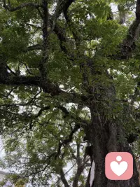 警惕大脑的3个“坏习惯”：为什么我们会做错决定


——你的直觉在骗你！但这不是它的错

在人生的重要岔路口，是相信直觉还是理性思考？大脑中的两个声音常常让我们陷入纠结。
我们每天都在面临选择：早餐吃包子还是面条？出门要不要带伞？这些日常决定往往依靠直觉瞬间完成。
但当面临人生重大选择——比如选择职业道路、寻找人生伴侣这些问题，直觉却常常引我们误入歧途。为什么大脑会出现这种偏差？诺贝尔奖得主丹尼尔·卡尼曼在《思考，快与慢》中揭示了答案。


01. 大脑里的两个角色

想象一下，你的大脑里住着两位性格迥异的居民：
系统1：直觉的单身女主人
她是快思考的代表，负责我们所有的直觉反应和无意识行为。当你一眼认出熟人的面孔，或者不假思索地说出 2+2=4，这都是系统1在高效工作。
她反应迅速，毫不费力，只是偶尔也会轻率下结论。


系统2：理性的单身男管家

这位男管家代表慢思考，当遇到复杂问题（比如计算17×24等于多少）时，才会被唤醒。他严谨、专注，但有个明显的缺点——非常懒惰，能不思考就不思考。
虽然系统2自认为是大脑的主宰，但事实上，我们日常生活90%的决定都是由系统1这位女主人主导的。

02. 直觉的三个“坏习惯”

大多数时候，系统1这位直觉女主人的高效工作让我们受益。但她有三个习惯，容易让我们产生认知偏差：
习惯一：过度担忧
系统1对危险极为敏感，这是人类进化的遗产——宁愿错把树枝看成蛇，也不愿忽略真正的威胁。
心理学中的“可用性启发”原理显示，人们会根据事件在记忆中提取的容易程度，来评估其发生概率。比如最近看到空难新闻的人，往往会高估飞机失事的可能性。
更有趣的是“情感性启发”：有时候我们不是因为危险而恐惧，而是因为先感到恐惧，才认为情境危险。比如 深夜独自行走时，一点风吹草动就能让我们心跳加速。

习惯二：强行找关联

系统1热衷于在不同事物间建立联系，即便这种联系可能根本不存在。
比如某天你穿了红色衬衫，恰好那天工作特别顺利。从此以后，每当有重要会议，你可能会不自觉地选择红色衣服，仿佛那件衣服真的带有好运。
我们的大脑渴望秩序和规律，宁愿创造虚假的因果关系，也不愿接受世界的随机性。


未完待续……配图