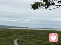 我可能没那么完美，但我依然值得被爱

——接上篇——

03 为什么一些成功的人，却感受不到幸福？


我们再来了解一个关键话题：自恋。

其实我们都有点儿自恋——请不要否认，这可能是好事。精神分析学家科胡特提出了“健康自恋”的概念。

他发现，有些人表面看起来很成功，工作体面，家庭美满，但内心却感受不到幸福。为什么呢？因为他们内心深处，感觉不到自己是个真实活着的人。

健康自恋的人是什么样子？简单说：健康自恋=相信自己值得被爱，且有能力应对生活的起伏。当我们内心稳定，成功时能坦然为自己感到自豪，失败时也不至于怀疑人生。我们的底气来自于一个基本信念：我很好，我值得被爱。

这种状态的来源，首先是童年得到良好照料。然后，我们需要找到一个可以认同的“偶像”——可能是父母、老师，或者某个优秀的人。通过认同他们，我们获得力量感：“我也想成为像他那样的人。”

等到长大成人，这种稳定的自我价值感会逐渐脱离对外部偶像的依赖。你会明白：我可能没那么完美，但我依然值得被爱。

总的来说，精神分析像一座巨大的思想宝库，也像一棵不断生长的大树——没有标准答案。它却在不断追问：我们如何与世界建立联结？如何在关系中成为更好的自己？

当克莱因告诉我们，成长就是从“好坏分明”到接纳复杂的过程。当温尼科特安慰我们，做个“够用”的父母就行了，不完美也没关系。当科胡特提醒我们，健康的自恋不是自大，而是内心确信自己值得被爱。

或许这些理论不能解决所有问题，但它们给了我们一面照见内心的镜子：成长的路上，多一点对内心的觉察，或许就能少一些迷茫。  

如果你也被某个观点触动，欢迎分享给需要的人。有时候，一句话就能点亮一颗心。

～～～心理学笔记～～～配图