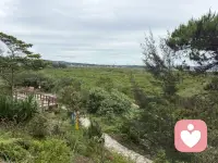 我可能没那么完美，但我依然值得被爱

——接上篇——

03 为什么一些成功的人，却感受不到幸福？


我们再来了解一个关键话题：自恋。

其实我们都有点儿自恋——请不要否认，这可能是好事。精神分析学家科胡特提出了“健康自恋”的概念。

他发现，有些人表面看起来很成功，工作体面，家庭美满，但内心却感受不到幸福。为什么呢？因为他们内心深处，感觉不到自己是个真实活着的人。

健康自恋的人是什么样子？简单说：健康自恋=相信自己值得被爱，且有能力应对生活的起伏。当我们内心稳定，成功时能坦然为自己感到自豪，失败时也不至于怀疑人生。我们的底气来自于一个基本信念：我很好，我值得被爱。

这种状态的来源，首先是童年得到良好照料。然后，我们需要找到一个可以认同的“偶像”——可能是父母、老师，或者某个优秀的人。通过认同他们，我们获得力量感：“我也想成为像他那样的人。”

等到长大成人，这种稳定的自我价值感会逐渐脱离对外部偶像的依赖。你会明白：我可能没那么完美，但我依然值得被爱。

总的来说，精神分析像一座巨大的思想宝库，也像一棵不断生长的大树——没有标准答案。它却在不断追问：我们如何与世界建立联结？如何在关系中成为更好的自己？

当克莱因告诉我们，成长就是从“好坏分明”到接纳复杂的过程。当温尼科特安慰我们，做个“够用”的父母就行了，不完美也没关系。当科胡特提醒我们，健康的自恋不是自大，而是内心确信自己值得被爱。

或许这些理论不能解决所有问题，但它们给了我们一面照见内心的镜子：成长的路上，多一点对内心的觉察，或许就能少一些迷茫。  

如果你也被某个观点触动，欢迎分享给需要的人。有时候，一句话就能点亮一颗心。

～～～心理学笔记～～～配图