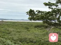 我可能没那么完美，但我依然值得被爱

——接上篇——

03 为什么一些成功的人，却感受不到幸福？


我们再来了解一个关键话题：自恋。

其实我们都有点儿自恋——请不要否认，这可能是好事。精神分析学家科胡特提出了“健康自恋”的概念。

他发现，有些人表面看起来很成功，工作体面，家庭美满，但内心却感受不到幸福。为什么呢？因为他们内心深处，感觉不到自己是个真实活着的人。

健康自恋的人是什么样子？简单说：健康自恋=相信自己值得被爱，且有能力应对生活的起伏。当我们内心稳定，成功时能坦然为自己感到自豪，失败时也不至于怀疑人生。我们的底气来自于一个基本信念：我很好，我值得被爱。

这种状态的来源，首先是童年得到良好照料。然后，我们需要找到一个可以认同的“偶像”——可能是父母、老师，或者某个优秀的人。通过认同他们，我们获得力量感：“我也想成为像他那样的人。”

等到长大成人，这种稳定的自我价值感会逐渐脱离对外部偶像的依赖。你会明白：我可能没那么完美，但我依然值得被爱。

总的来说，精神分析像一座巨大的思想宝库，也像一棵不断生长的大树——没有标准答案。它却在不断追问：我们如何与世界建立联结？如何在关系中成为更好的自己？

当克莱因告诉我们，成长就是从“好坏分明”到接纳复杂的过程。当温尼科特安慰我们，做个“够用”的父母就行了，不完美也没关系。当科胡特提醒我们，健康的自恋不是自大，而是内心确信自己值得被爱。

或许这些理论不能解决所有问题，但它们给了我们一面照见内心的镜子：成长的路上，多一点对内心的觉察，或许就能少一些迷茫。  

如果你也被某个观点触动，欢迎分享给需要的人。有时候，一句话就能点亮一颗心。

～～～心理学笔记～～～配图