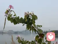 心理小问答｜关于无意识，你想知道的三个问题

我们常常听到“潜意识”“无意识”这些词，但它们到底如何影响我们的生活？那些“不自觉地退缩”“莫名涌上的情绪”，真的是无法改变的命运吗？

我们看看下面三个问题，也许会给您带来一些启发。


1问：潜意识真的是每个人的命运吗？

有人可能会觉得，潜意识里藏着我们看不见的力量，悄悄决定了我们的选择，甚至决定了命运。

但作者给出了一个更轻松、也更自由的视角：

我们可以尝试做一些跟自动化反应不一样的事。

比如，过去你一看到机会，第一反应就是退缩——“我不行”“还是算了吧”。这一次，我们可以试着往前一步，去争取看看。哪怕只是小小的尝试，也可能带来完全不同的结果。


其实，不存在什么被决定的“命运”。

学习这些心理学知识，不是为了让你觉得自己被某种看不见的力量控制，而是为了帮助你更轻松、更勇敢、更自由地做不一样的选择。

其实，我们永远拥有改变的可能。

2问：如何克服潜意识里一些“不好的想法”？（或者说“不道德”的感受）

有时候，我们会发现自己心里冒出一些不太“光彩”的想法，比如嫉妒朋友、对某人生出敌意、暗暗感到愤怒……然后立刻开始自责：我怎么会有这样的念头？我是不是一个坏人？

别急。

作者提醒我们：这类“不好的想法”，更合适的处理方式不是“克服”，而是“允许”。

只要这些想法没有变成伤害他人的行动，它们就只是想法而已。

允许的意思是：不评判，不审判，承认自己有这些感受是正常的。你不需要站在道德的制高点上审判自己，好像有了某个念头，就成了一个不够好的人。

比如，我们偶尔会嫉妒身边人和自己的朋友，这没关系。只要你不会做出真正伤害他的行为，你依然是一个好人。嫉妒本就是真实人性的一部分。

当你允许它存在，它反而会慢慢流走。但如果我们严厉地审查自己，连想法都不能有，那反而会陷入和它的长期纠缠中。

所以，允许自己有这种想法的存在，就是最好的疏解。


未完待续……配图