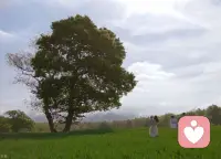 关掉电极，你就不再爱他：那爱还是真的吗？

你喜欢的音乐，可能不是你的品味。

而是几根神经在放电。

这不是科幻。《灰质》这本书里记录的一个真实案例，让这个问题变得无法回避。

书里有一对同卵双胞胎：阿曼达和萨拉。

16岁起，她们被强迫症折磨，每天在淋浴间里一待就是几个小时，用酒精和双氧水反复搓洗皮肤，直到灼伤。穿袜子不能有一丝褶皱，光穿鞋就要花好几个小时。

20种药、催眠术，全部失败。

33岁那年，医生在她们大脑里植入电极。通电后，效果几乎立竿见影——她们说“像变了一个人”：能出门，能拥抱母亲，能彼此分开独处。

两个基因完全相同的人，得了完全相同的病，接受了完全相同的手术，产生了完全相同的效果。

这说明了什么？

我们以为属于“自我”的东西——意志、喜好、情感，可能很大程度是被基因和神经回路预先决定的。

那么，此刻正在读这段话的“你”，到底是谁？

这个案例已经足够让人不安，但更让人脊背发凉的还在后面。

有报道指出，激活深部脑刺激电极，甚至能让一个人突然爱上约翰尼·卡什的音乐。而关掉电极，这种爱好立刻消失。这一现象已在多项临床观察中被证实。

如果对一种音乐的热爱都可以被开关控制，那对食物的喜好呢？对人的感情呢？

你以为是“我”在选择，其实可能只是几根神经在放电。

如果说爱好可以被电极操控，那我们引以为傲的“自我意识”本身，会不会也只是大脑编造的故事？

这个怀疑并非空想。诺贝尔奖得主斯佩里的裂脑人实验，给出了一个颠覆性的答案：我们所谓的“自我”，可能只是左脑讲给自己听的一个故事。

左脑让我们觉得自己是一个统一的、有自由意志的“我”。但实验显示，左脑经常在事情发生后，才编出一个“合理”的解释，让我们以为那是自己的决定。

有些时候，我们以为自己在理解自己，其实可能只是一个模块在替另一个模块圆谎。

这些实验听起来像上个世纪的奇闻，但今天，脑机接口技术正在把它们变成现实。

如今，输入型脑机接口正在向大脑注入信号，恢复视觉或改变情绪。在贝勒医学院，神经外科团队已实现高度个性化的深部脑刺激治疗重度抑郁。在北京协和医院，也已开设脑机接口评估门诊。

技术越往前走，伦理追问就越紧迫。

如果大脑可以被读取，隐私还存在吗？

如果情绪可以被编程，自我还存在吗？

历史反复证明，任何可以改变大脑的工具，都有被滥用的可能。

《灰质》——学习笔记