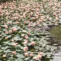 無論此刻正經歷什么，都請不要輕易放棄，因為從來沒有一種堅持會被時光辜負。誰的人生不是充滿挑戰，生活從不會一帆風順，只要堅持，就能成為獨一無二的自己。配圖