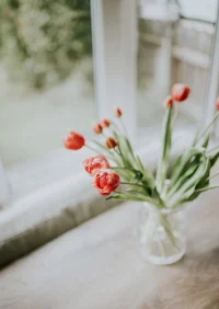 你若微笑前行，自得繁花万千 ，你若愁眉苦脸，生活就充满阴翳。凡事多笑一笑，笑去烦恼，笑去忧愁，笑出未来。配图