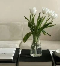 对自己好一点，不需一直期待着以“努力”和“牺牲”交换爱，你可以先爱自己。爱自己也爱别人，爱才不会枯干。配图