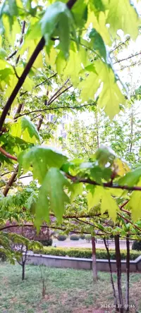 K；；上天给你什么，你就享受什么；
上天拿走什么，你就接受什么。
保持允许的心态，
那么即使是一地鸡毛的人生，
也能被你扎成漂亮的鸡毛掸子。配图