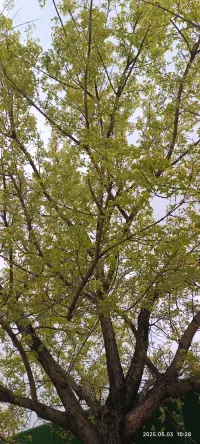 “你的想法很重要，我想聽”

知乎上有個扎心提問：

“為什么父母總在問我‘餓不餓’，卻從不問‘你開不開心’？”
回答一針見血：

“因為他們只關心你是否活著，并不在乎你是否在活成自己?！?
《少年說》中，一個女孩含淚控

“我想學考古，你們卻說‘沒前途，必須考金融’?！?
父親冷冰冰回應：“我是為你好，你懂什么？”

三年后，女孩患上抑郁癥

教育最大的悲劇，是讓孩子閉嘴，還怪他不會表達。

猶太家庭有個傳統：

每周設“家庭議會”，孩子可暢所欲言，父母只傾聽、不評判。

那些被尊重聲音的孩子，長大后決策力遠超同齡人。

從今天起，把“閉嘴”換成“你說，我在聽”，孩子自會生出披荊斬棘的底氣。配圖