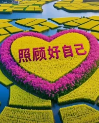 如果你联系我，我就听你说，如果你不联系我，我就顺其自然，实不相瞒，很想你，但问题不大，能克制，我既然有本事喜欢你，我就有本事压下去，因为我相信 感情只有双向奔赴才有意义。所以，等你什么时候心里有我了，我在来好好爱你。

祝福这里的宝贝们520快乐了，有情人终成眷属！配图