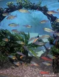 这就是理工男的深沉表白吧

我爱你，
我深爱你，
我深爱过你，
我深深爱过你，
“我对你的爱，
就像海水里的氘（dāo），
在核聚变之后，
所释放出的能量一样！  ” 
 “聚变的能源，足够我们使用到地老天荒～配图