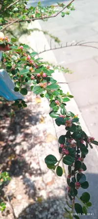 沒有不可治愈的傷痛，沒有不能結束的沉淪配圖