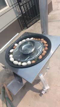 端午降至，煮粽子了配圖