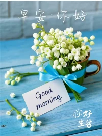 那好的狀態(tài)是優(yōu)秀的時(shí)候享受，
糟糕的時(shí)候接受。
有精力的時(shí)候努力，
沒精力的時(shí)候就休息。配圖