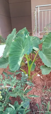 挨過餓的，一輩子都在追求物質；被忽視的，一輩子都在追求存在感；被控制的，一輩子都在想要自由；缺乏安全感的，一輩子都在恐懼；被指責的，一輩子都不斷想證明自己；被打壓的，一輩子都需要鼓勵支持。你看到的性格，是他們的療傷方法，這些舊傷疤，曾經保護他們，卻也困住了他們。配圖