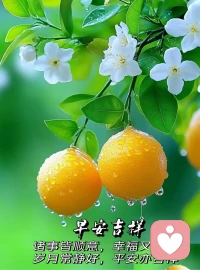 其實，選錯了就選錯了，不要總是一遍遍去想如果當初，人生不可能每個選擇都正確，很多事情就算重來一遍，以你當時的閱歷和心智，還是會做出同樣的選擇，結果還是無法避免。
 
所以不用回頭看，也不必批判當時的自己，總會有不同的人，陪你看同樣的風景。配圖