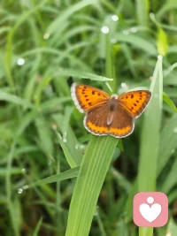 人生是一場醒悟，不要昨天，不要明天，只要今天。生命匆匆，我們不必委曲求全，每個人都是有用的，都是上天安排你到人世，每個人都會被人需要，也會需要其他人，要看清自己，不要看輕自己。配圖