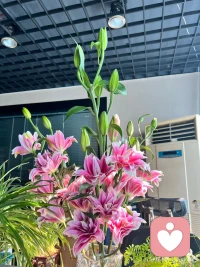 我生活状态就是
低配你的生活，高配你的灵魂。配图