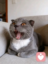 脾气谁都有，
拿出来是本能，
压下去是本事，
我能笑着给你讲道理，
也能翻脸告诉你什么是规矩。