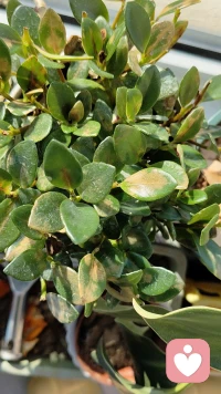 我不入你的局，你说什么都没有用。我的世界我做主，你的评价不入耳，我不期待你的认可，我自信的人生不需要外人盖章。你的态度和情绪与与无关，不接话，不接招，不接情绪，你的事归你，我的事归我，不把时间廉价交付，不把情绪随意透支。只要不进入对方的游戏规则，就永远占据主导优势，不过度解释，不拼命自证，把精力留给自己和珍惜的人，不战而胜才是大智慧。配图