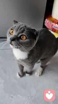 看因果

1你肩膀疼，是你太负责
扛下了所有。
2。你腰背疼，说明你背后
无人支撑。
3。心脏不好，是你经历了太多，
心寒的事。
4。肠胃不好,是你吞下了
太多委屈。配图