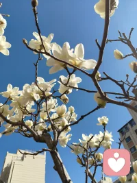 不打扰童年的肆意，不辜负春日的美好