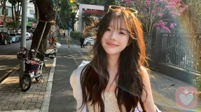 证书