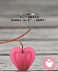 看似无拘无束，实则孑然一身
忽然心就累了，偏偏我也不想争了。