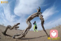 走过大漠戈壁都是姐妹兄弟