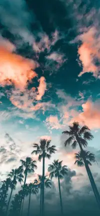 北極光的輕吻，喚醒冰封的夢境配圖