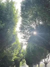 你好…………配圖