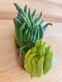 愛的真實的對象并不在我們之外，
它就在我們自己。
我們要知道如何愛自己，
如何回歸我們真實的體性，
以便發現那些美好的、真實的、健康的、美麗的東西。配圖
