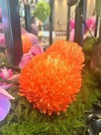 幸福者退讓！是一個比較睿智的行為配圖