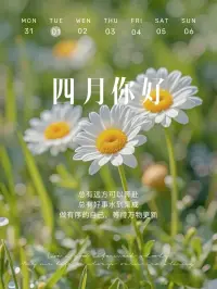心有山水不造作，?靜而不爭(zhēng)遠(yuǎn)是非。
取舍有度，忙閑相宜，從容于朝夕，安穩(wěn)于四季。
不同的年紀(jì)，不同的取舍，過(guò)好每一個(gè)階段的自己。配圖