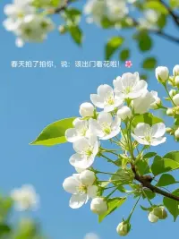 在心里種花的人，會一直在春天里！配圖