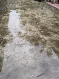 綿綿細雨，透心扉配圖