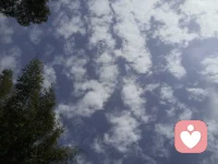 暴雨后的復蘇，神清氣爽，怡然自得！配圖