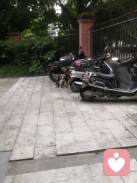 兩個乖乖戰士配圖