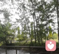 生活的怡然自得配圖