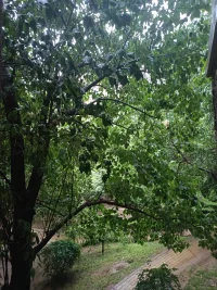 雨滴輕敲窗欞，像是大自然在低聲訴說著心事。配圖